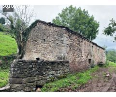 CASA RURAL CON CABAÑA Y FINCA EN SELAYA