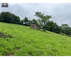 CASA RURAL CON CABAÑA Y FINCA EN SELAYA