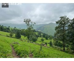 CASA RURAL CON CABAÑA Y FINCA EN SELAYA