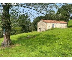 CONJUNTO DE DOS CABAÑAS PASIEGAS CON FINCA EN VILLACARRIEDO