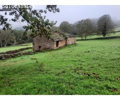 VENTA DE AMPLIA CABAÑA PASIEGA EN LUENA