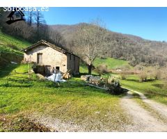 VENTA DE CABAÑA RURAL CON FINCA EN VEGA DE PAS