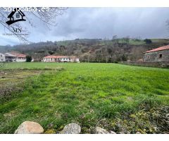 TERRENO URBANIZABLE EN VILLACARRIEDO
