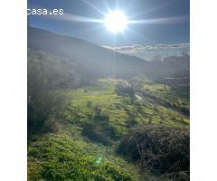 Finca rustica en Venta en Algarinejo, Granada