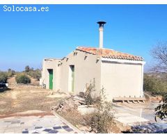 Olivar en Venta en Castelldans, Lleida