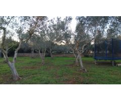 Finca rustica en Venta en Manacor, Islas Baleares