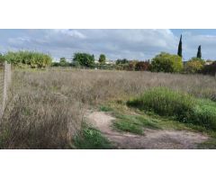 Parcela- Paraje la hijuela (Molina de Segura)