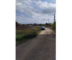 Parcela- Paraje la hijuela (Molina de Segura)