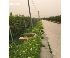 Parcela - Llano de Brujas, Murcia
