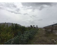 Terreno Rural - Alquerías