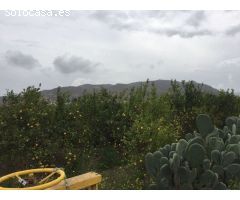 Terreno Rural - Alquerías