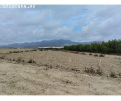 Terreno de Regadío - Lébor, Totana