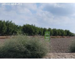 Terreno de Regadío - Lébor, Totana