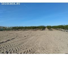 Terreno Agrario - Lébor, Totana