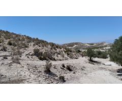 Terreno con Olivos - La Espada, Molina de Segura
