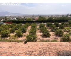 TERRENO URBANIZABLE EN LA CARRETERA ALHAMA-TOTANAA