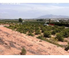 TERRENO URBANIZABLE EN LA CARRETERA ALHAMA-TOTANAA