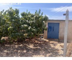 TERRENO URBANIZABLE EN LA CARRETERA ALHAMA-TOTANAA