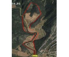Finca de aprox 67 hectàreas. Con dos casas principales para reformar