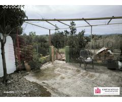 BONITA FINCA RUSTICA CON CASETA EN BENICARLÓ