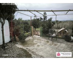 BONITA FINCA RUSTICA CON CASETA EN BENICARLÓ