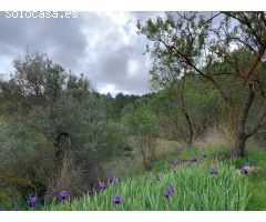 Finca rustica en Venta en Torremanzanas, Alicante