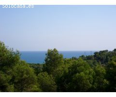 TERRENO CON VISTAS AL MAR