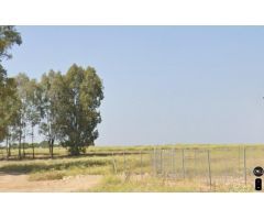 Solar en venta en Las Pajanosas