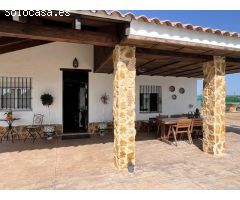 Chalet a la venta en La Algaba