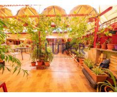Casa en Venta en San Vicente del Raspeig, Alicante
