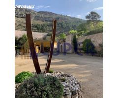 Finca rustica en Venta en Ontinyent, Valencia