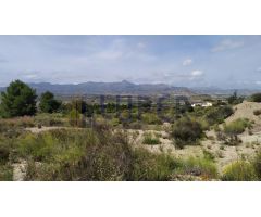  en Venta en Aspe pedanias, Alicante