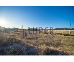 Finca rustica en Venta en Lagostelle, Alicante