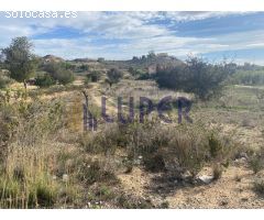  en Venta en San Vicente del Raspeig, Alicante