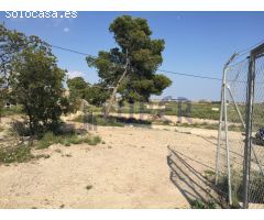 Terreno Rústico en Venta en Lagostelle, Alicante