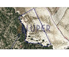 Terreno Rústico en Venta en Novelda, Alicante
