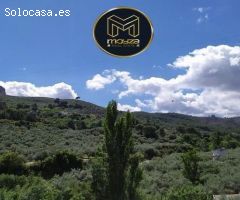 AFUERA DE JAEN LOS VADILLOS