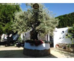 ZONA AFUERAS DE JAEN