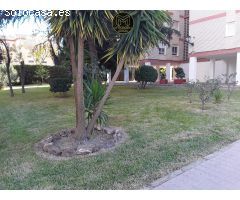 PISO EN LINARES