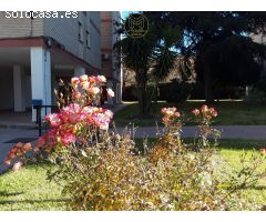 PISO EN LINARES