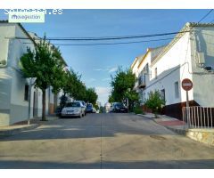 LOCAL COMERCIAL EN ZONA CENTRO - PRADO DEL REY