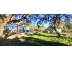 Casa con terreno en Venta en El Bosque, Cádiz
