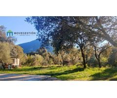 Casa con terreno en Venta en El Bosque, Cádiz