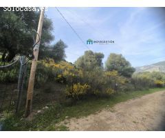 Terreno rural en Venta en Ubrique, Cádiz