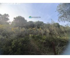 Terreno rural en Venta en Ubrique, Cádiz