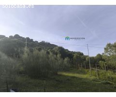 Terreno rural en Venta en Ubrique, Cádiz