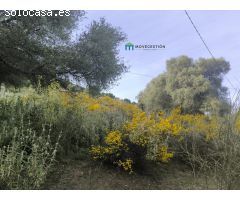 Terreno rural en Venta en Ubrique, Cádiz