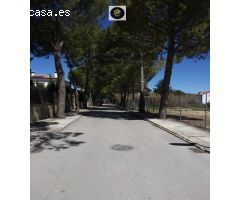 SOLAR EN LA YEDRA