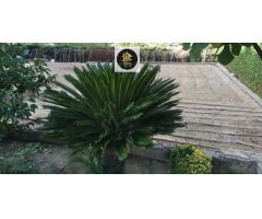 PISO EN LOS VILLARES