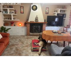 CHALET EN LOS VILLARES